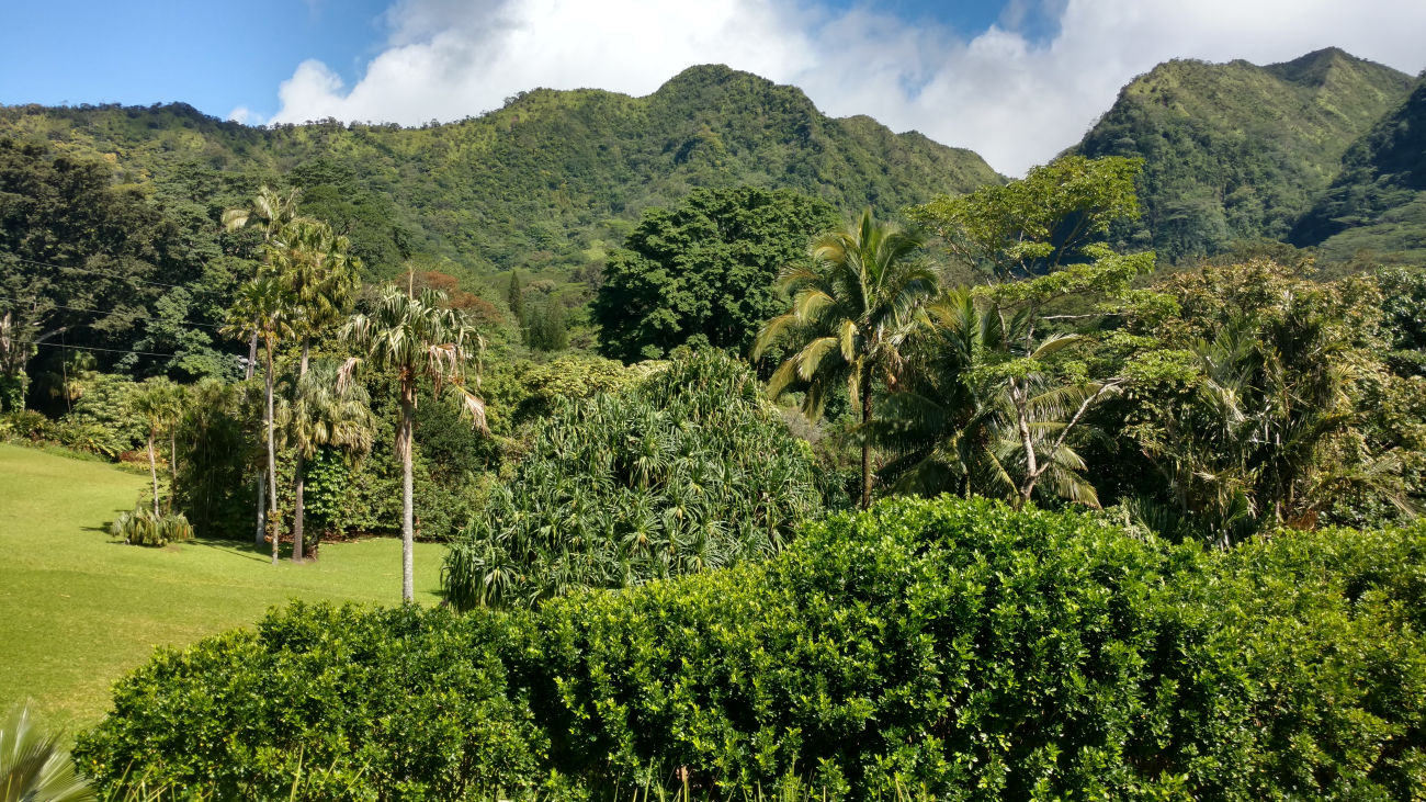 Lyon Botanical Garden, Manoa Valley.