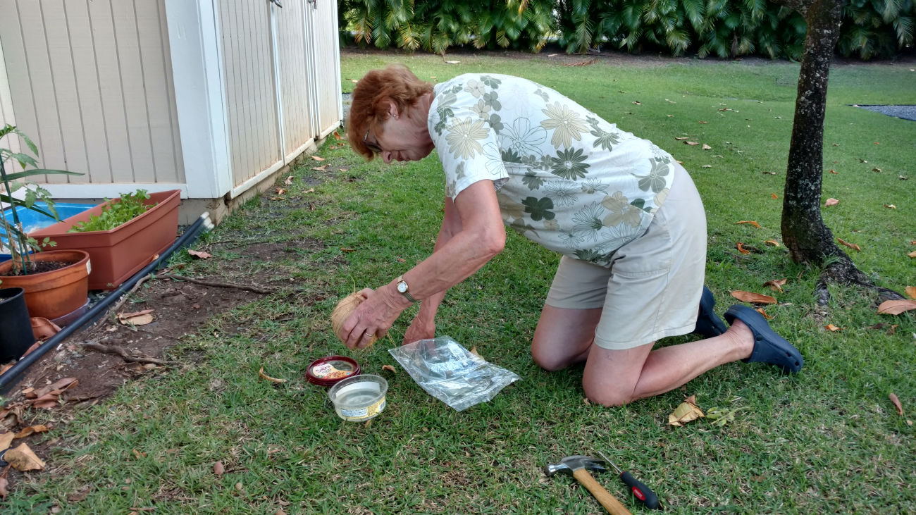 Trish processing a coconut outside Andy & Britt's apartment.