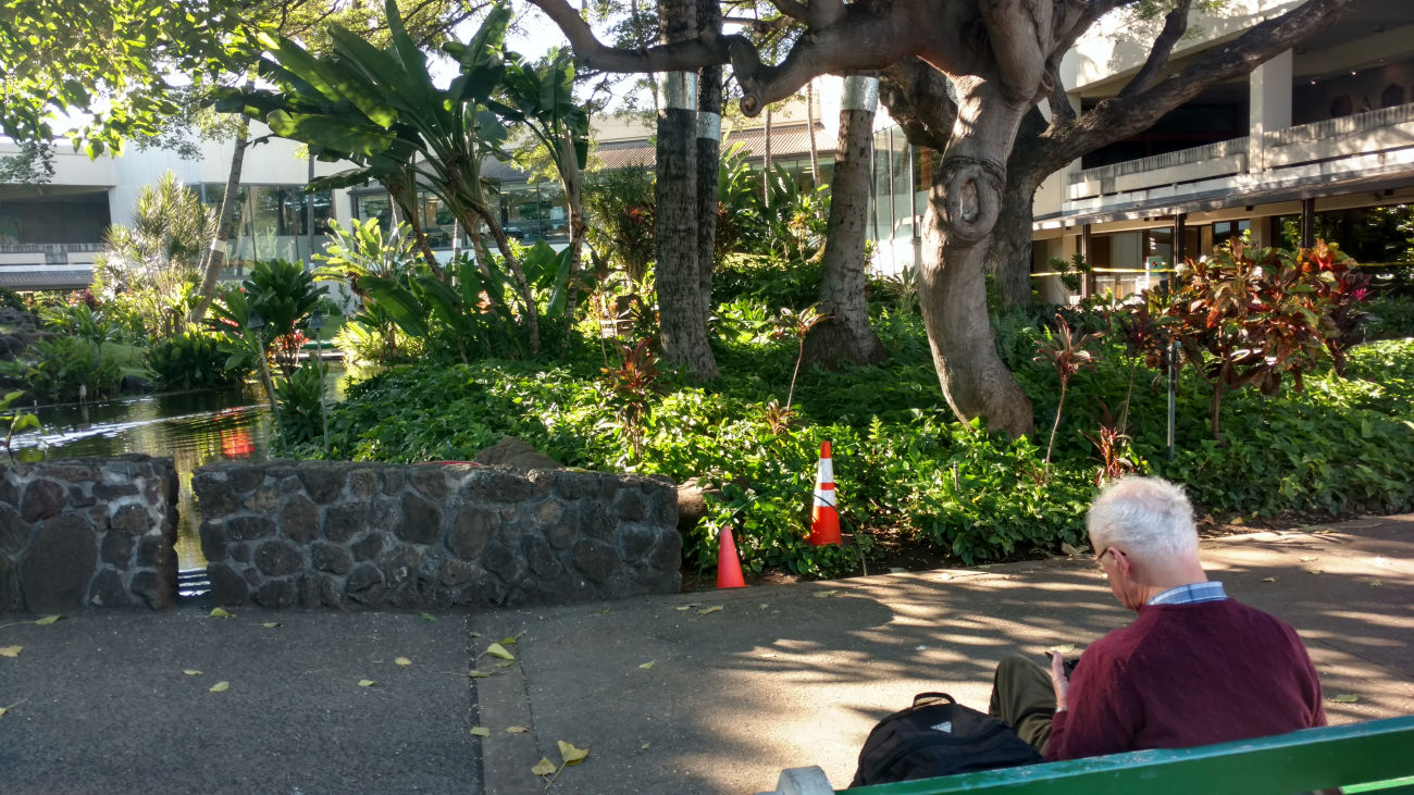 Japanese Garden at Honolulu Airport whilst waiting to board the first flight of our journey home.