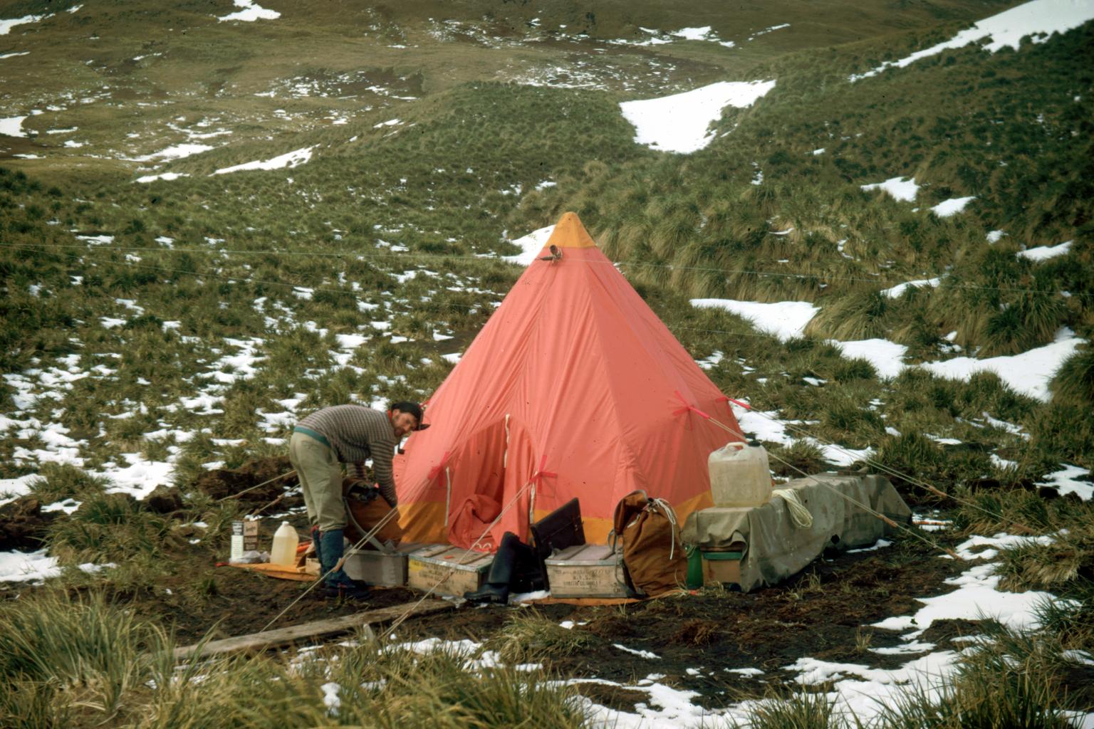 Camping on Annenkov Island, 1972
