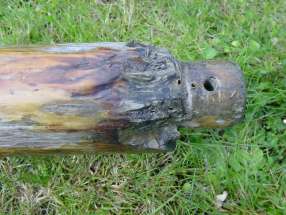 Top of the main mast with ring and shrouds removed