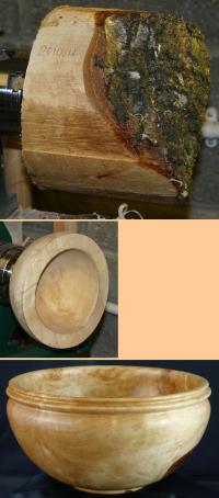 Birch Bowl from Trees at Mickley Square.