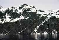 View from the deck of the RRS John Biscoe of intesely folded rocks of the Cumberland Bay Formation in Cumberland Bay on the north-eastern coast of South Georgia. Afternoon of the 7th November 1972.