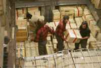 Unloading the forward hold of the John Biscoe at the jetty at King Edward Point, South Georgia. Left to right, Tony Gannon, Tim Gunn(?), Neil Tappin & Malky MacRae. 8th November 1972.