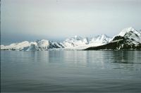 View of the Nordenskjöld Glacier, South Georgia, viewed looking south-east from the deck of the John Biscoe departing from King Edward Point, South Georgia on the 11th November 1972.