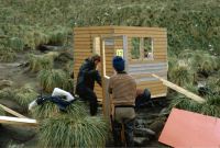 Erecting a pre-fabricated observation hut at Elsehul, South Georgia. 12th November 1972.