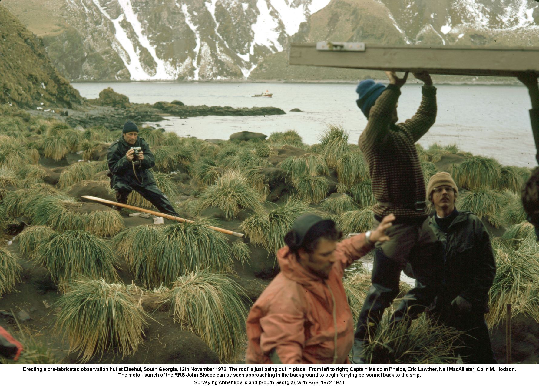 Erecting a pre-fabricated observation hut at Elsehul, South Georgia. 12th November 1972.  The roof is just being put in place.