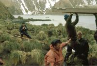 Erecting a pre-fabricated observation hut at Elsehul, South Georgia. 12th November 1972. The roof is just being put in place.