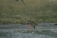 View of a newly-erected pre-fabricated observation hut at Elsehul, South Georgia. Photo taken from the motor launch of the RRS John Biscoe returning to the ship after picking up personnel (who erected the hut) from the beach. 12th November 1972. 