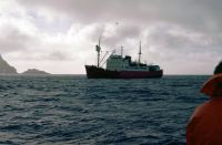 View of the RRS John Biscoe anchored off Elsehul, South Georgia. Photo taken from the Biscoe's motor launch returning to the ship after picking up personnel from Elsehul beach. 12th November 1972.