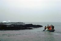 Gemini departing from the landing beach on the north-eastern coast of Annenkov Island after landing E. Lawther & T. Pettigrew. The RRS John Biscoe faintly visible in the misty background. 14th November 1972.