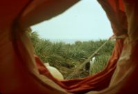 View inside the pyramid tent looking out of the entrance. For the first few days the long-distance view was obscured by fog. A lot of inquisitive Gentoo penguins nesting around the camp site, came to view the tent! November 1972.