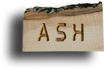 Ash