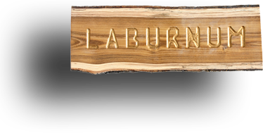 Laburnum