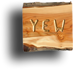 Yew